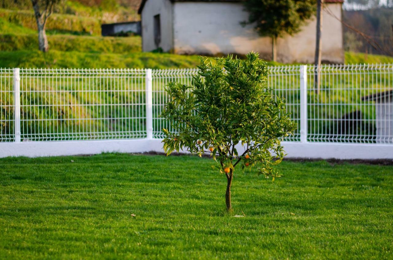 Casa Leite Guest House Амаранте Екстериор снимка
